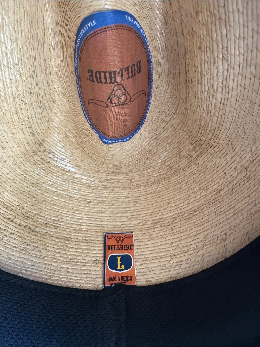 Southwestern Pattern Straw Cowboy Hat with Braided Trim - Picture 8 of 9